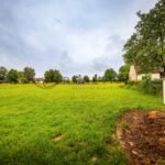 25-06-03-Petrovice-Pozemek-Foto_05