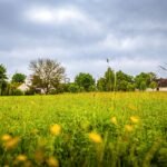 25-06-03-Petrovice-Pozemek-Foto_17