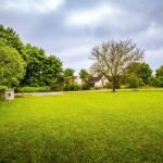 25-06-03-Petrovice-Pozemek-Foto_19